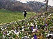 Castel Regina e Pizzo Cerro da Catremerio-13apr22- FOTOGALLERY